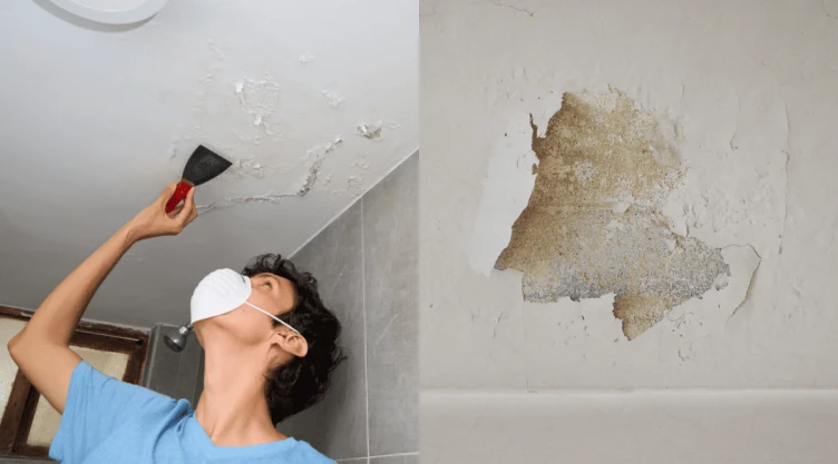 5 ideas para quitar la humedad del techo.png
