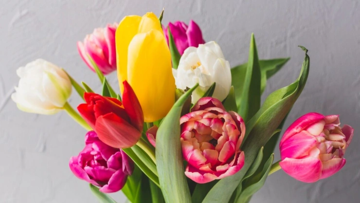 Ramo de flores de tulipanes de San Valentín. Razón porque es la mejor opción.