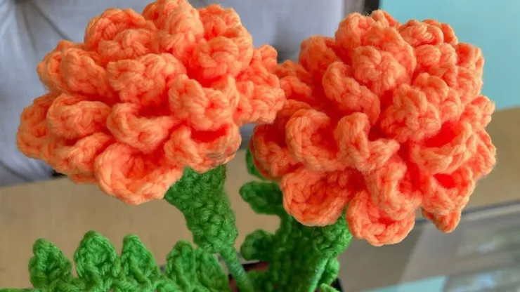 flores de cempasúchil