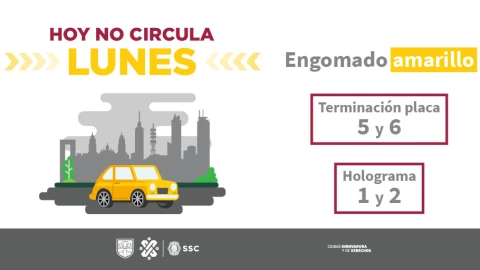 Hoy No Circula: Los autos que descansan los lunes en la CDMX y Edomex