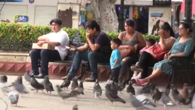 Chiapas calor