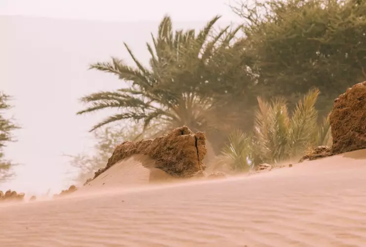 Polvo del Sahara llega a México este 2024