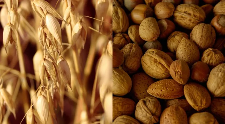 /estilo-de-vida/avena-y-nueces-por-que-recomiendan-de-que-sirve