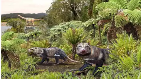 dinosaurio Orretherium tzen .jpg