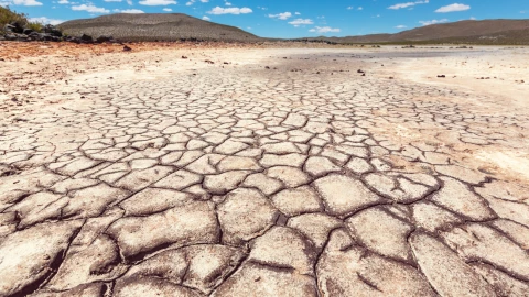 Florida en riesgo de quedarse sin agua por sequía histórica