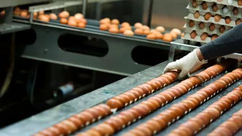 Huevo_salmonela_México_2024