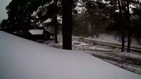 Laguna Mountain Lodge