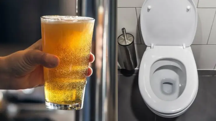 Plantean hacer cerveza con agua reciclada del baño