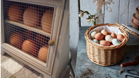 Huevos