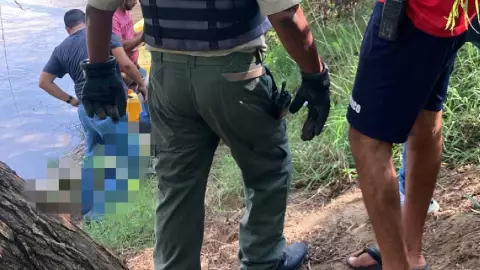 VIDEO: Cocodrilo paseaba con cuerpo humano en Puerto Vallarta