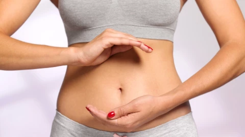 Harvard proteína digestión