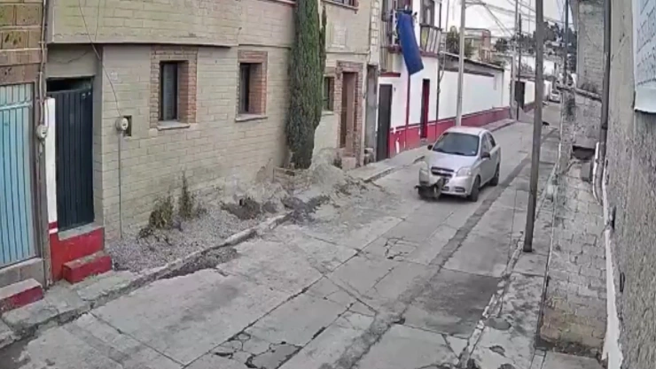 perro atropellado edomex