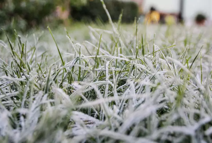 Clima martes 5 de diciembre de acuerdo al SMN