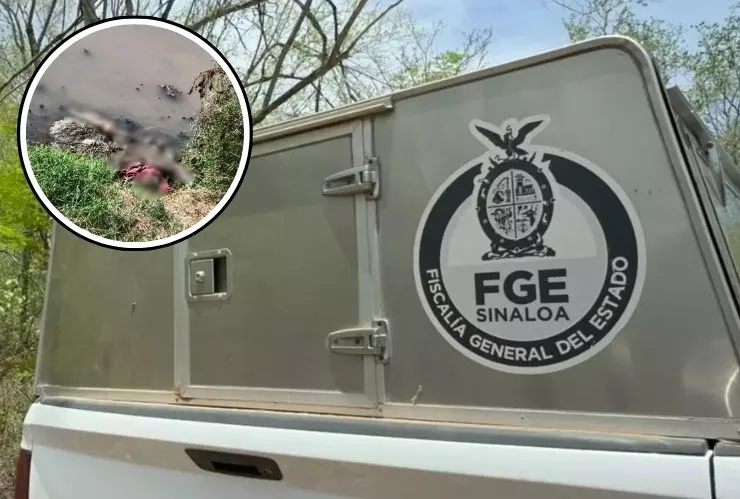 Restos humanos en El Pinole