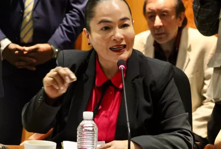 Verónica Juárez Piña