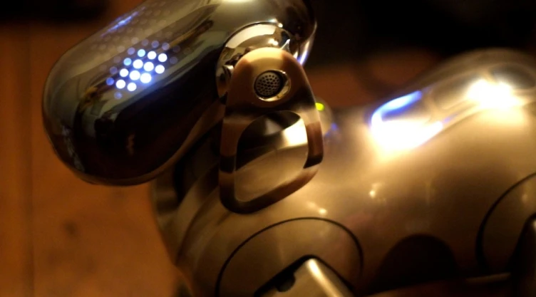 Perro Robot