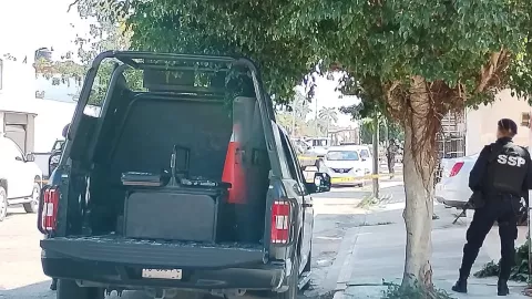 cateo antidrogas campestre merida