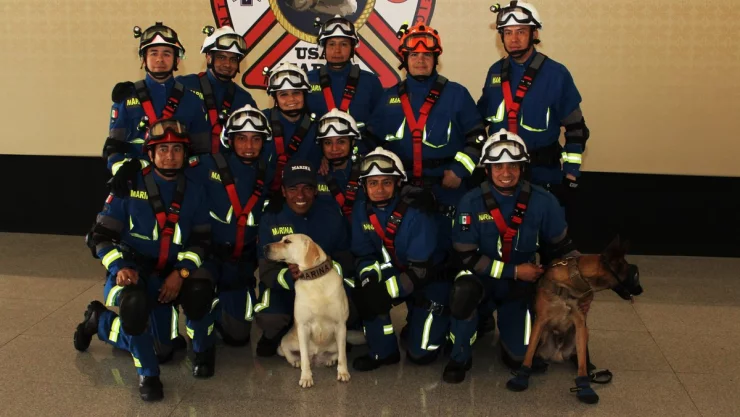 Jubilan a Frida, la elemento canino de rescate más famosa de México