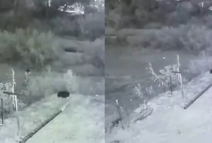 Orbe de luz se transforma en dos niños