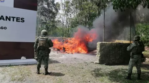 Autoridades incineran más de 300 kilos de narcóticos en Quintana Roo