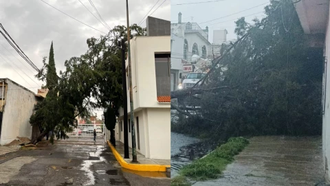 Lluvia en Puebla hoy 30 de mayo de 2024 deja caída de árboles y encharcamientos