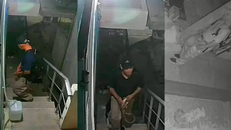 Investigan caso de abuso contra una perrita en Playa del Carmen.jpg