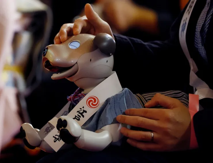 perros robot