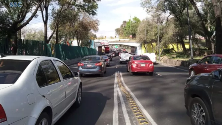 marchas-manifestaciones-en-vivo-viernes-25-octubre-2024