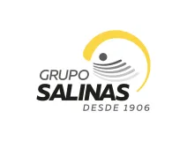 Grupo Salinas Logo.webp
