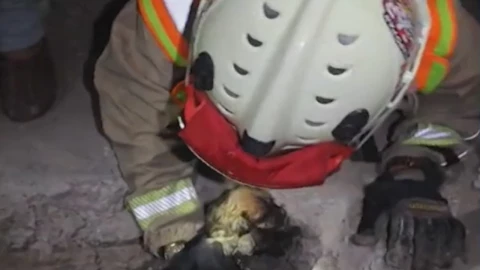 ¡Verdaderos héroes! Bomberos rescatan a cachorro de perro en drenaje de Zapopan, Jalisco