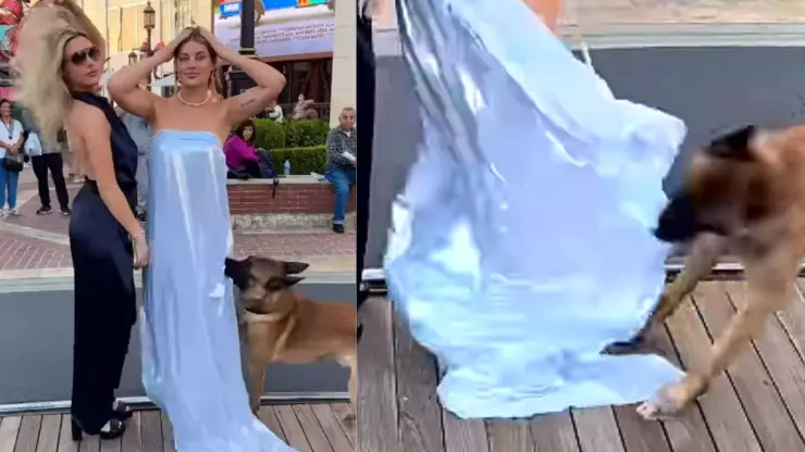 Perro se roba el  vestido de una modelo