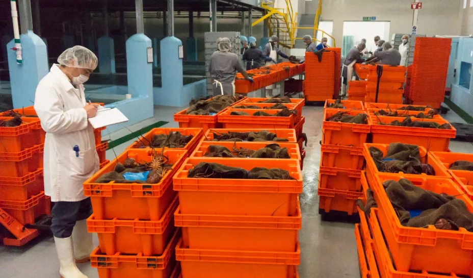 Agricultura 10 febrero 2026.jpg