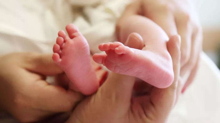 Imagen de cortesía 1 (2).jpg