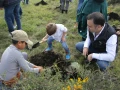 Sin duda Un Nuevo Bosque de disfrutó mejor en familia
