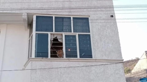 Rescatan a tigre de bengala encerrado en una casa en el EdoMex