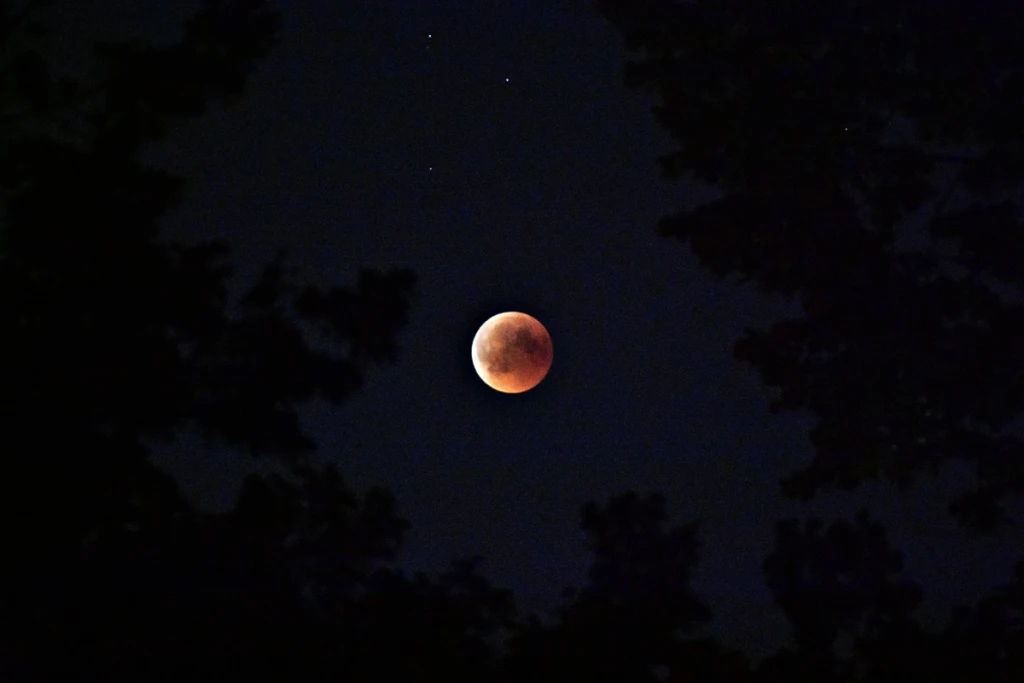 Cómo ver el eclipse de luna de noviembre