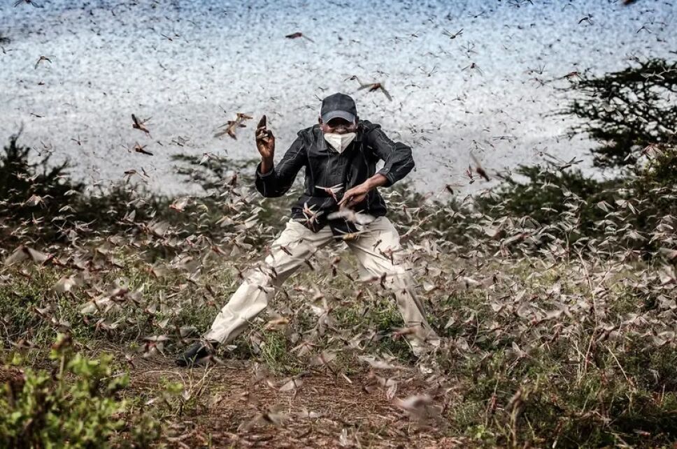 World Press Photo, premio a las mejores fotografías del año.