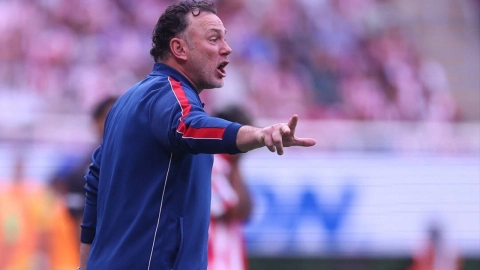 Aficionados Chivas Milito