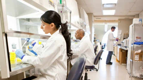 Desarrollan implante para curar el cáncer