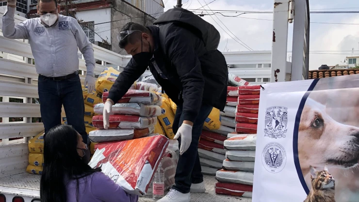 Donación UNAM