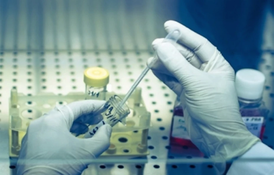 Premio nobel medicina