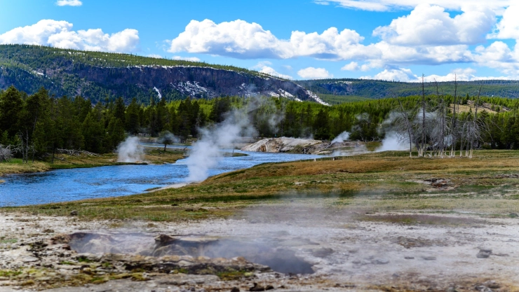 Géiseres con agua caliente arrojan vapor en el Parque Nacional de Yellowstone