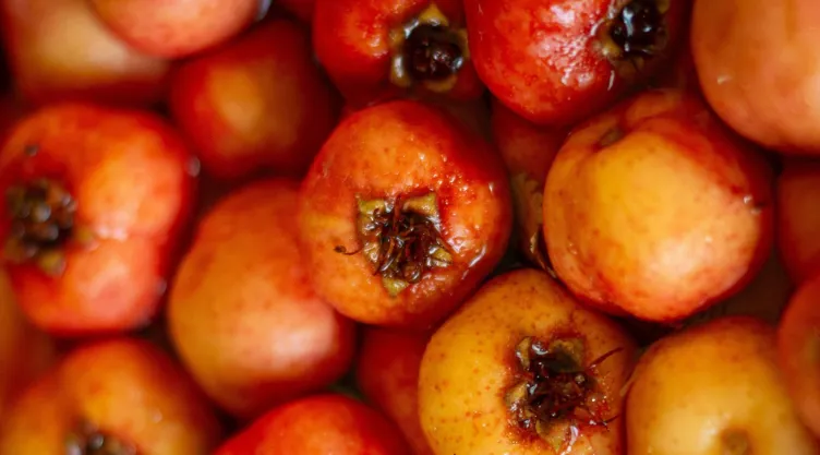 Tejocote ¿Cuáles son los beneficios de esta fruta.jpg
