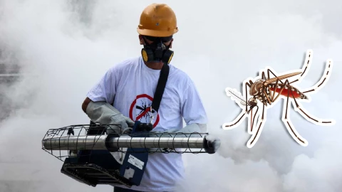 Van 16 muertos por dengue en México en una semana; hay más de 600 nuevos casos, revelan.jpg