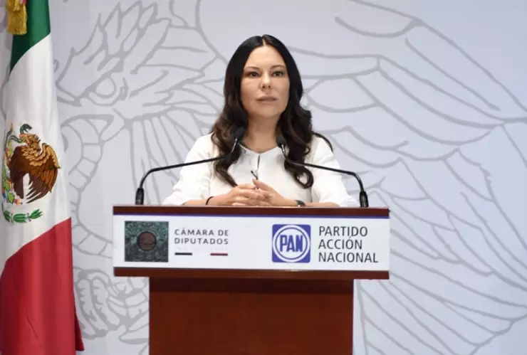 Diputada Laura Rojas