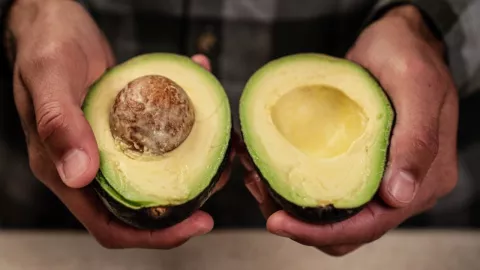 Precio del aguacate hoy 1 de febrero 2026: El costo de un kilo en CDMX y otras regiones de México