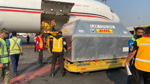 Llegó cargamento con 585 mil dosis de Pfizer al AICM