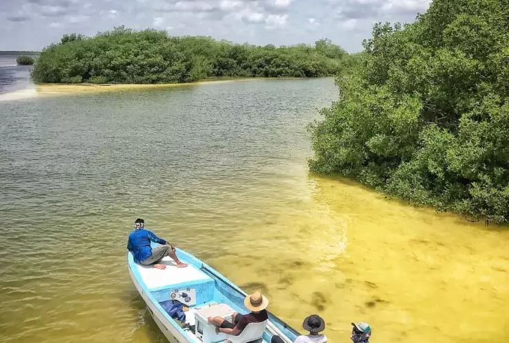 Biósfera Sian Ka’an, un lugar que no puedes dejar de visitar