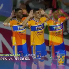 Tigres vs Necaxa en vivo y gratis por TV Azteca 7 Jornada 7 del Apertura 2026 de la Liga BBVA MX