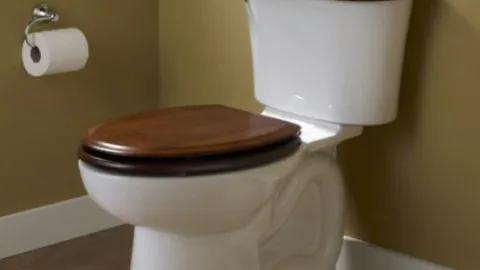 4 opciones para reemplazar la taza del baño por soluciones más vintage